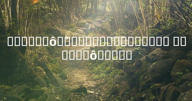 ������ô�����˲Ƹ��߽�����ȫ ������ô���ƿ�